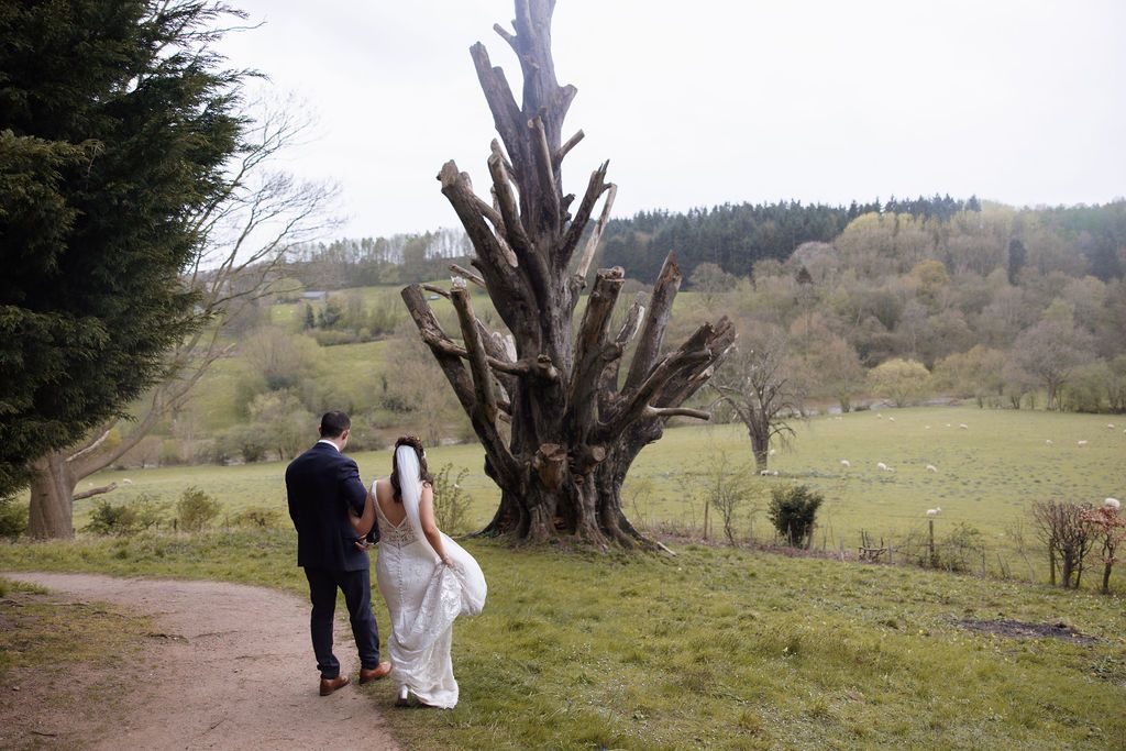 Gallery Item 25 for Arley House & Gardens