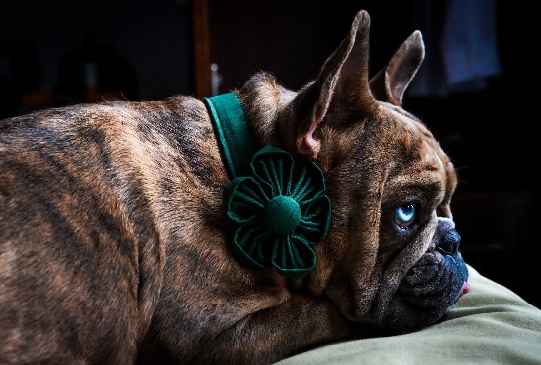 Cassidy Storytelling-Image-18