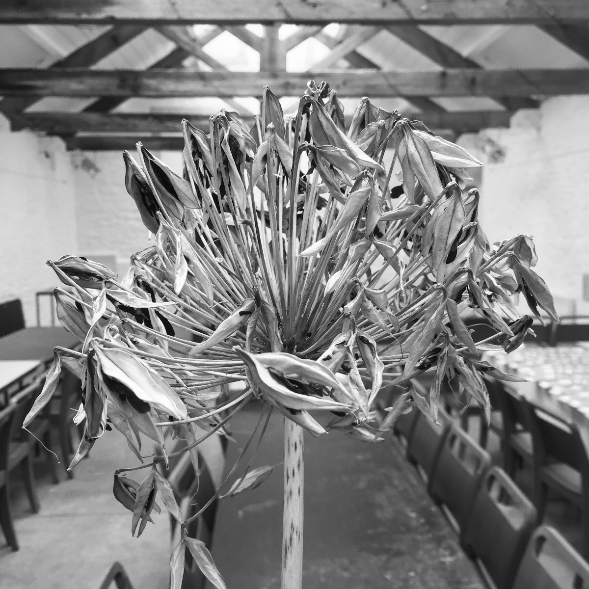 Gallery Item 199 for Silk Mill Studios And Gallery