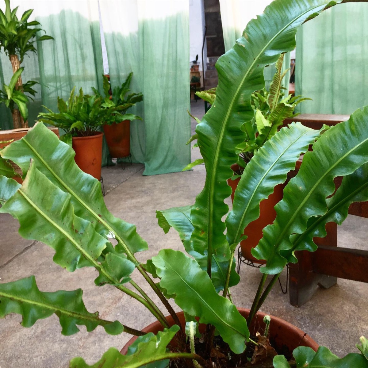 Gallery Item 40 for Silk Mill Studios And Gallery