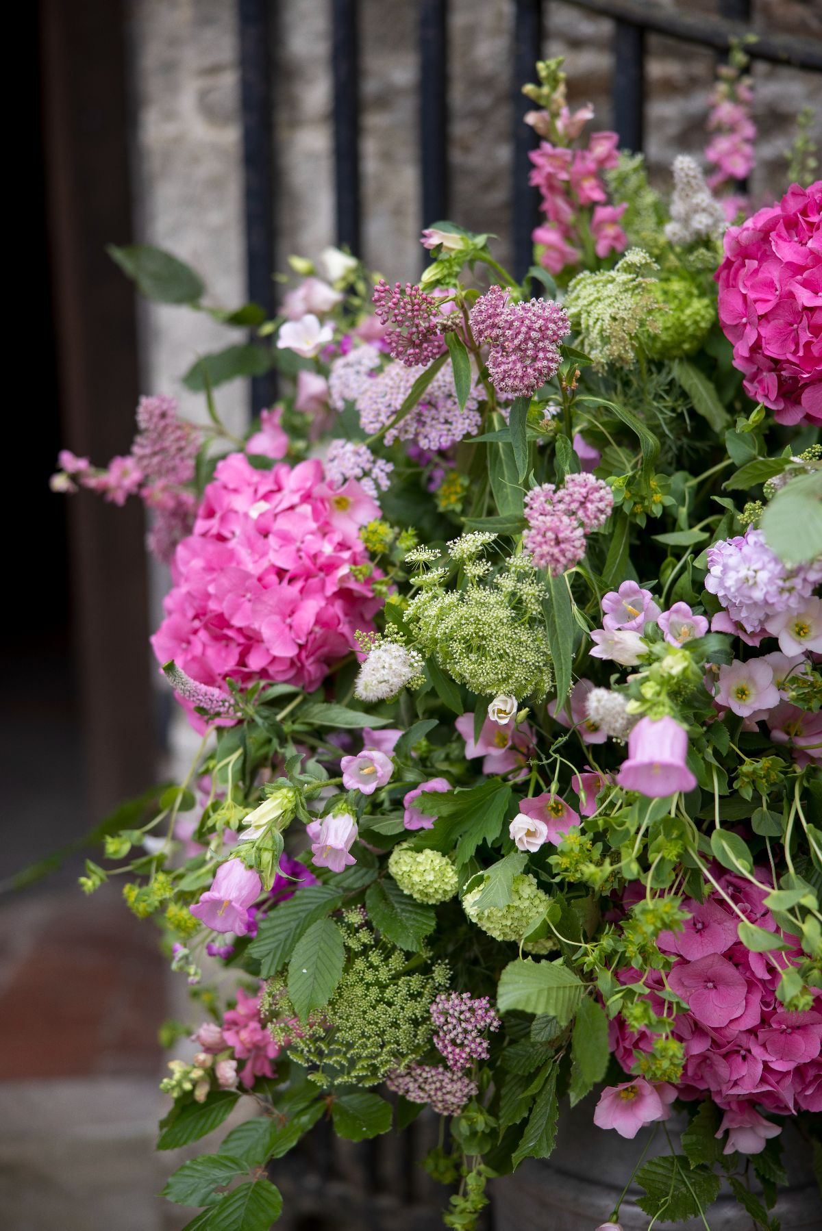 The Flower Alchemist-Image-36