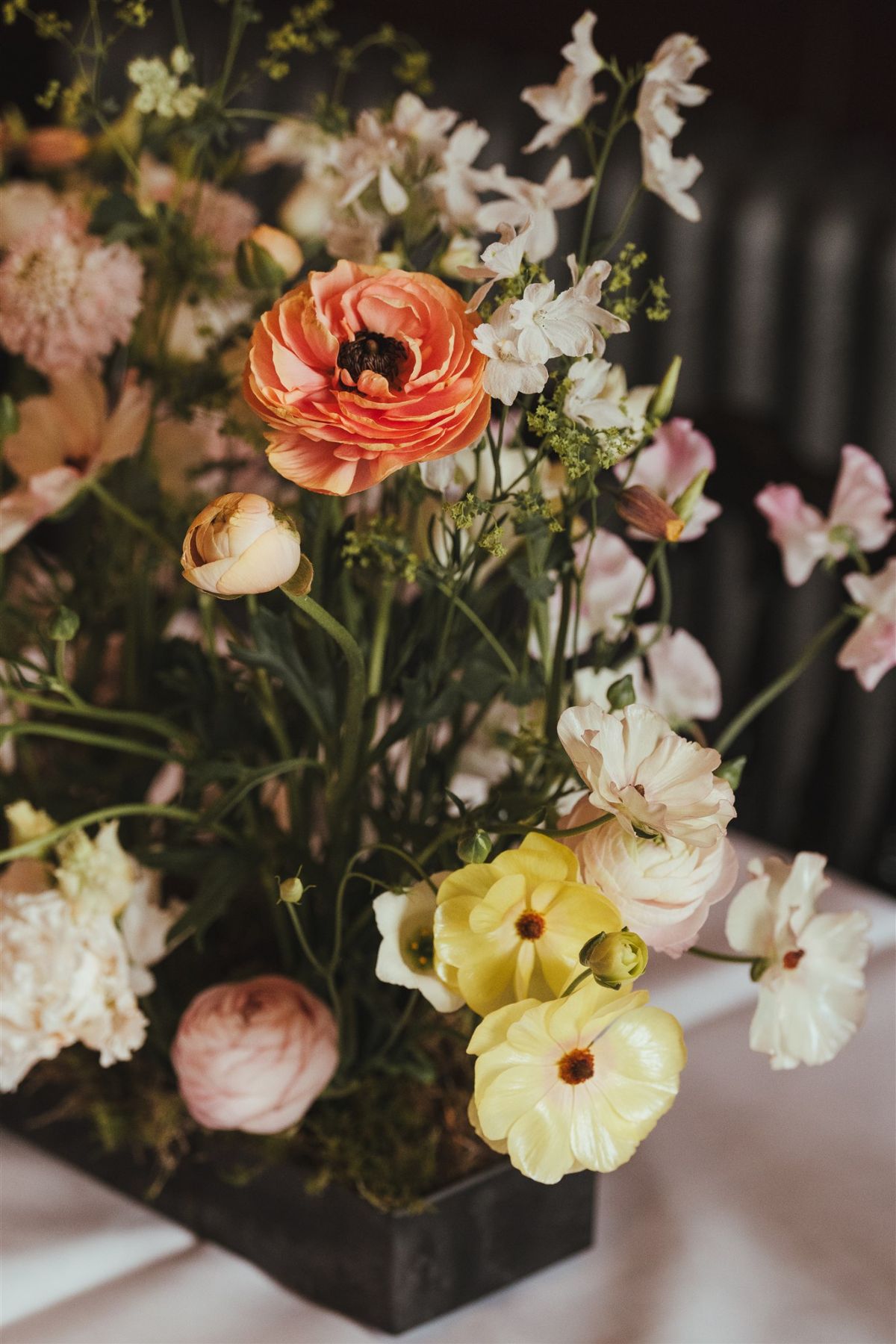 The Flower Alchemist-Image-83