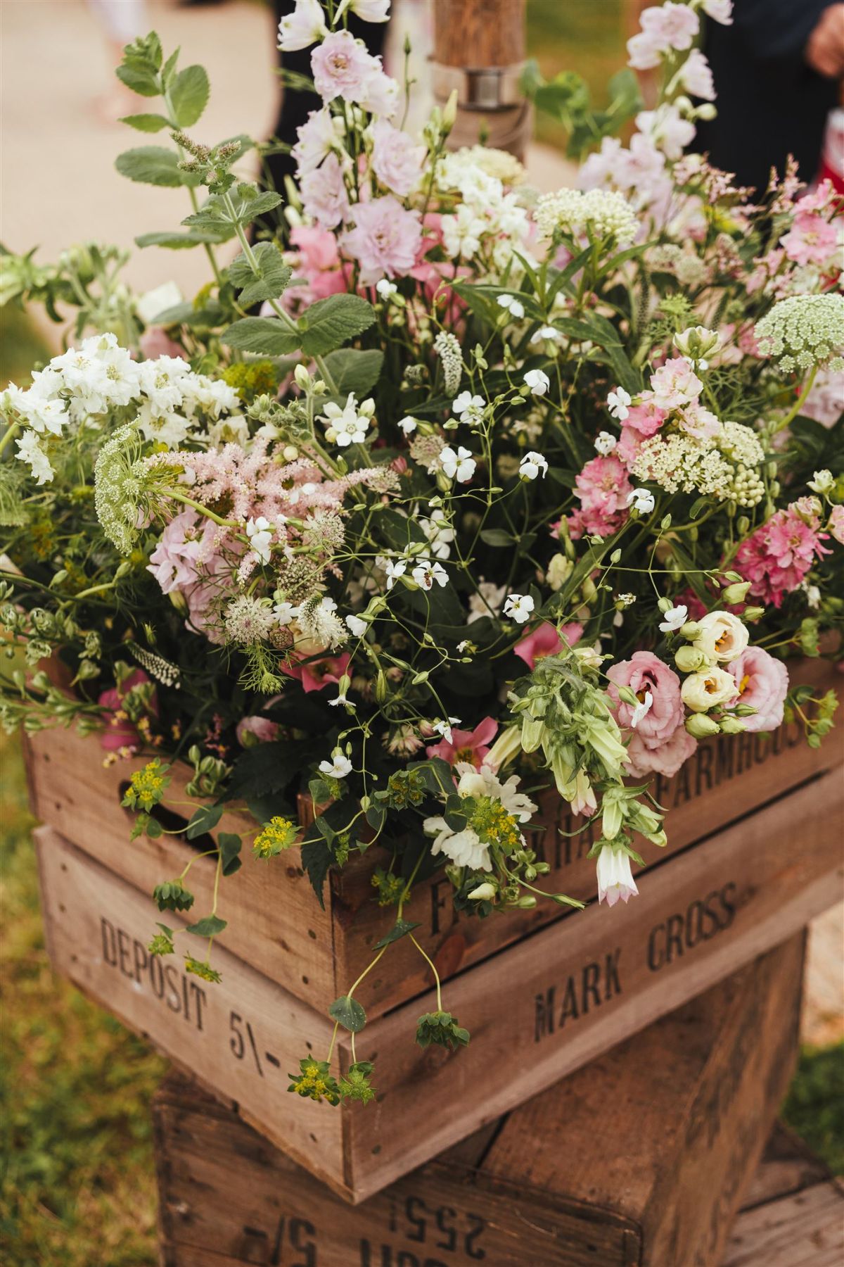 The Flower Alchemist-Image-21