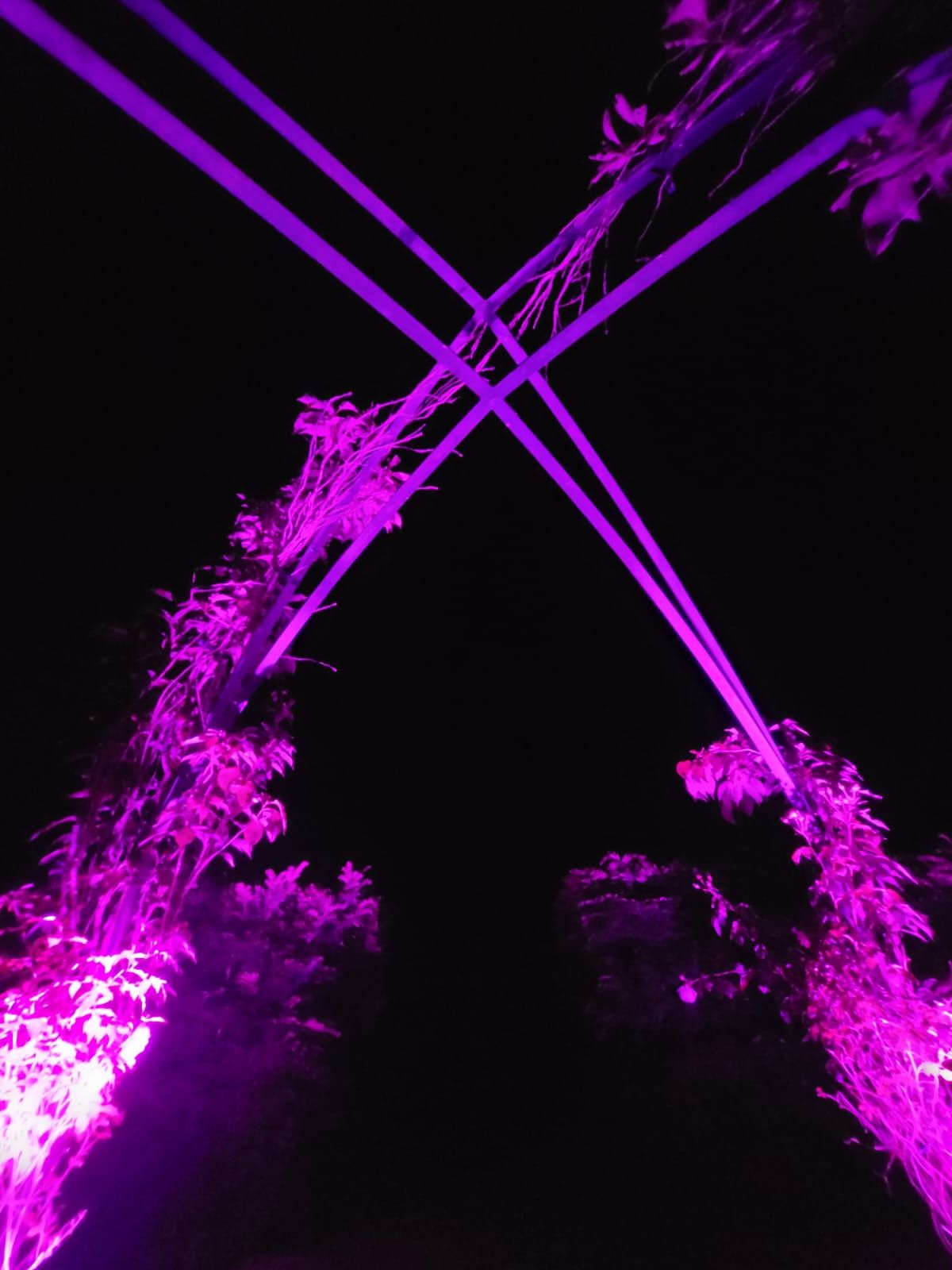 Check Twelve Wedding DJ & Lighting Company-Image-2