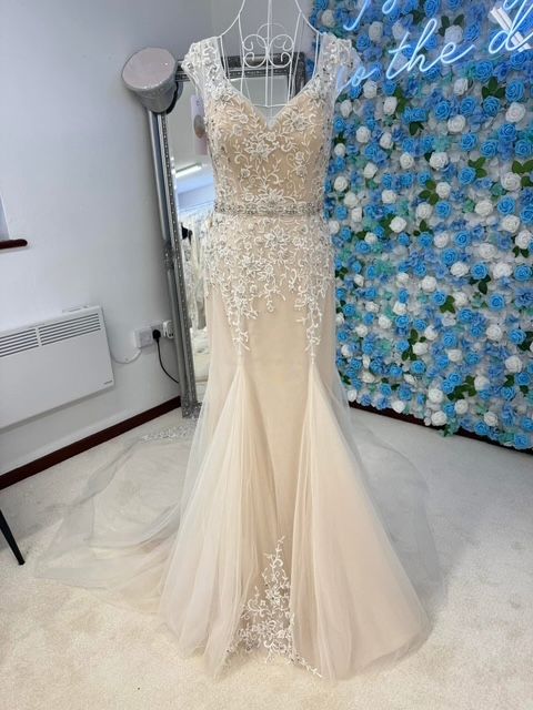  Elizabeth Ann Bridal Boutique -Image-2