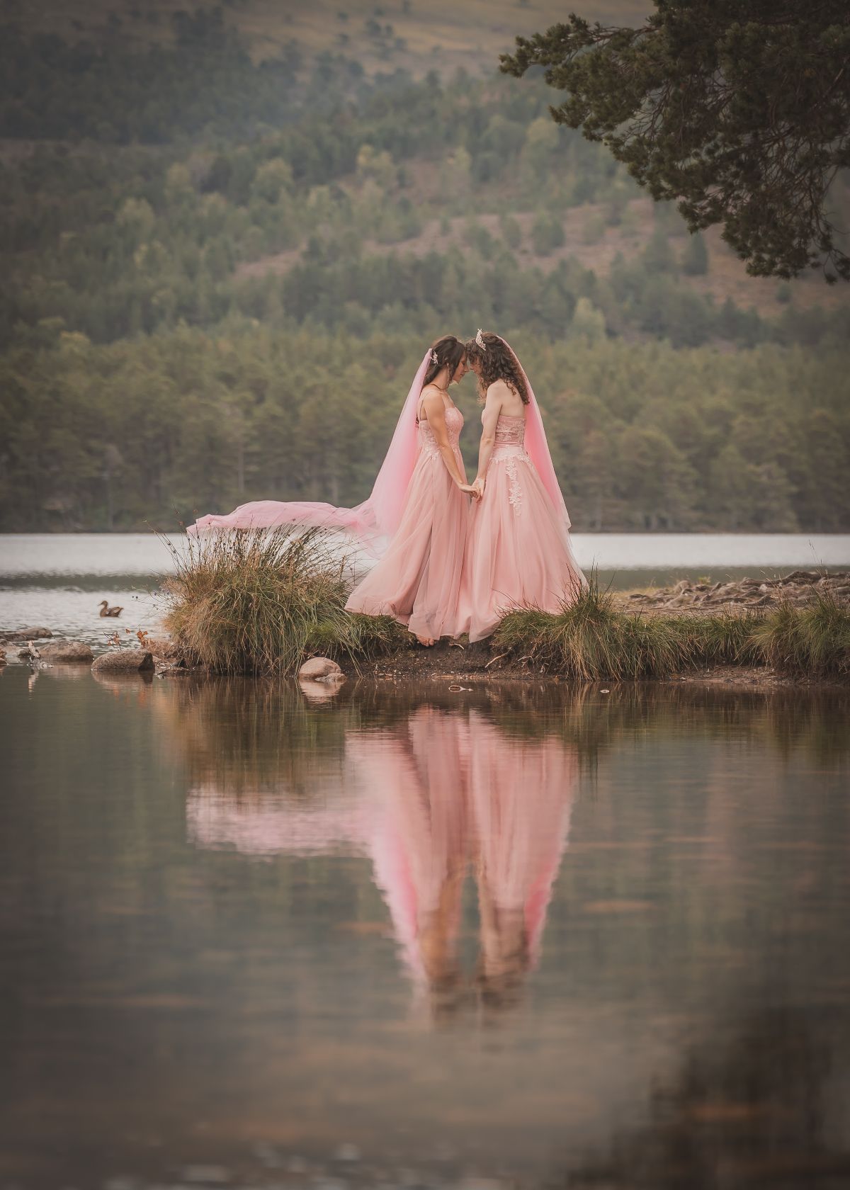 McCourt Photography-Image-226