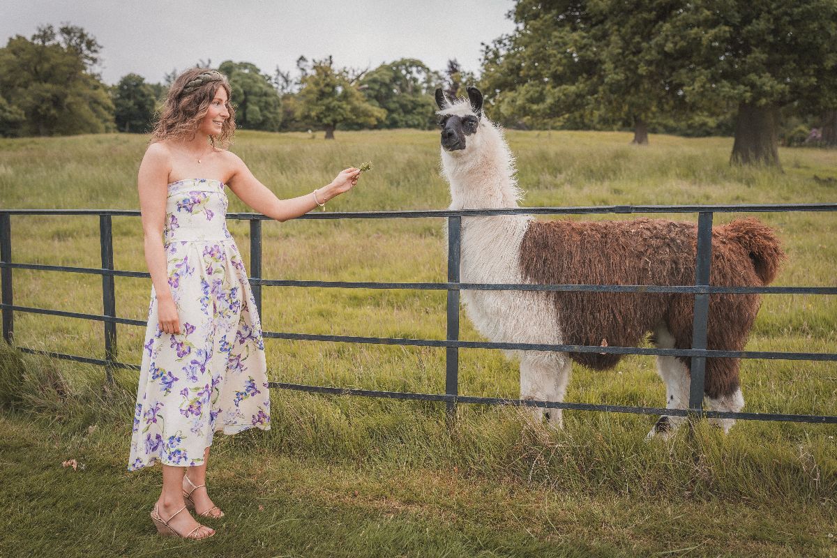 McCourt Photography-Image-244