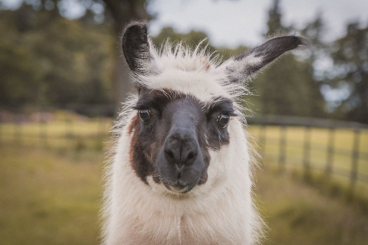 McCourt Photography-Image-269