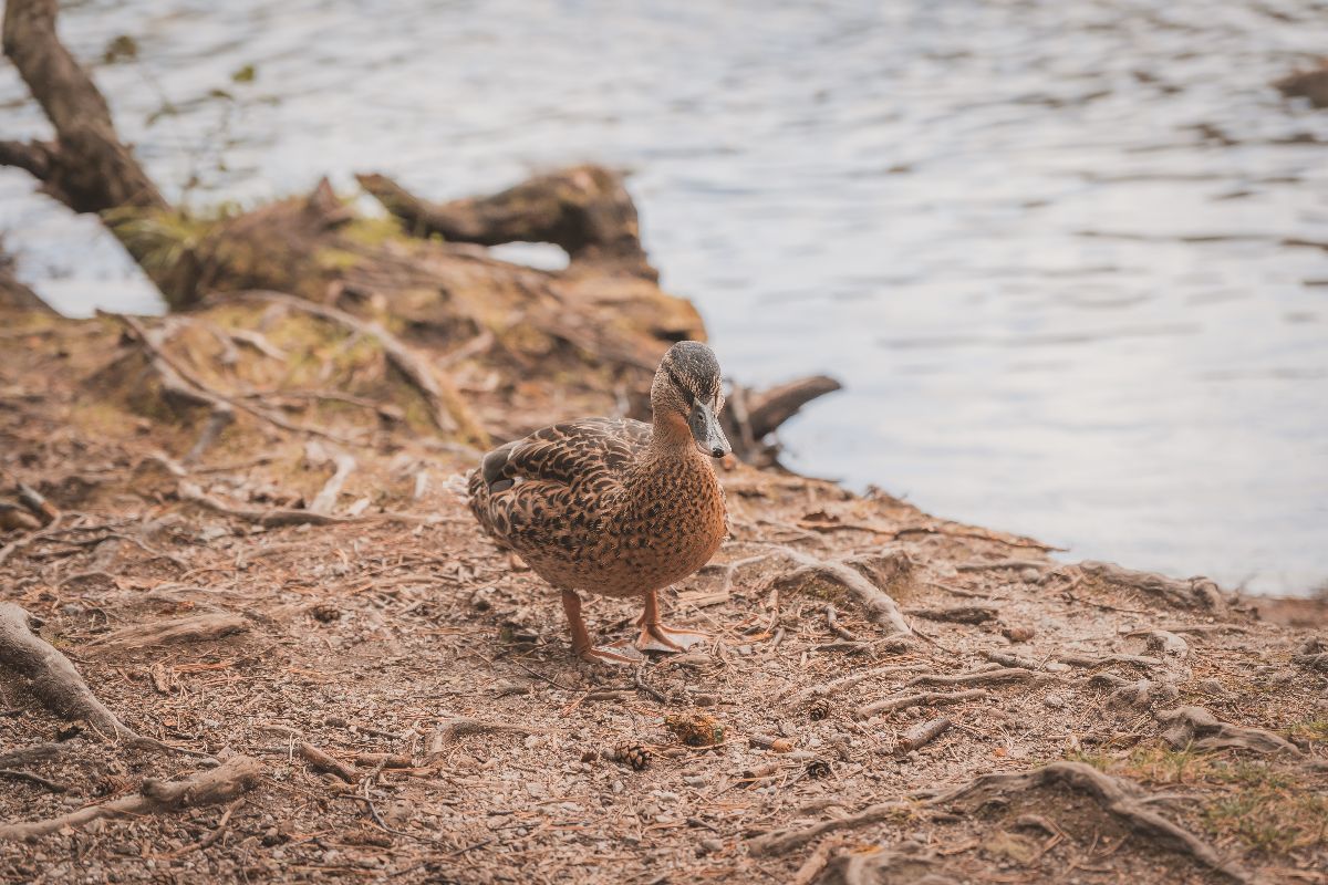 McCourt Photography-Image-329