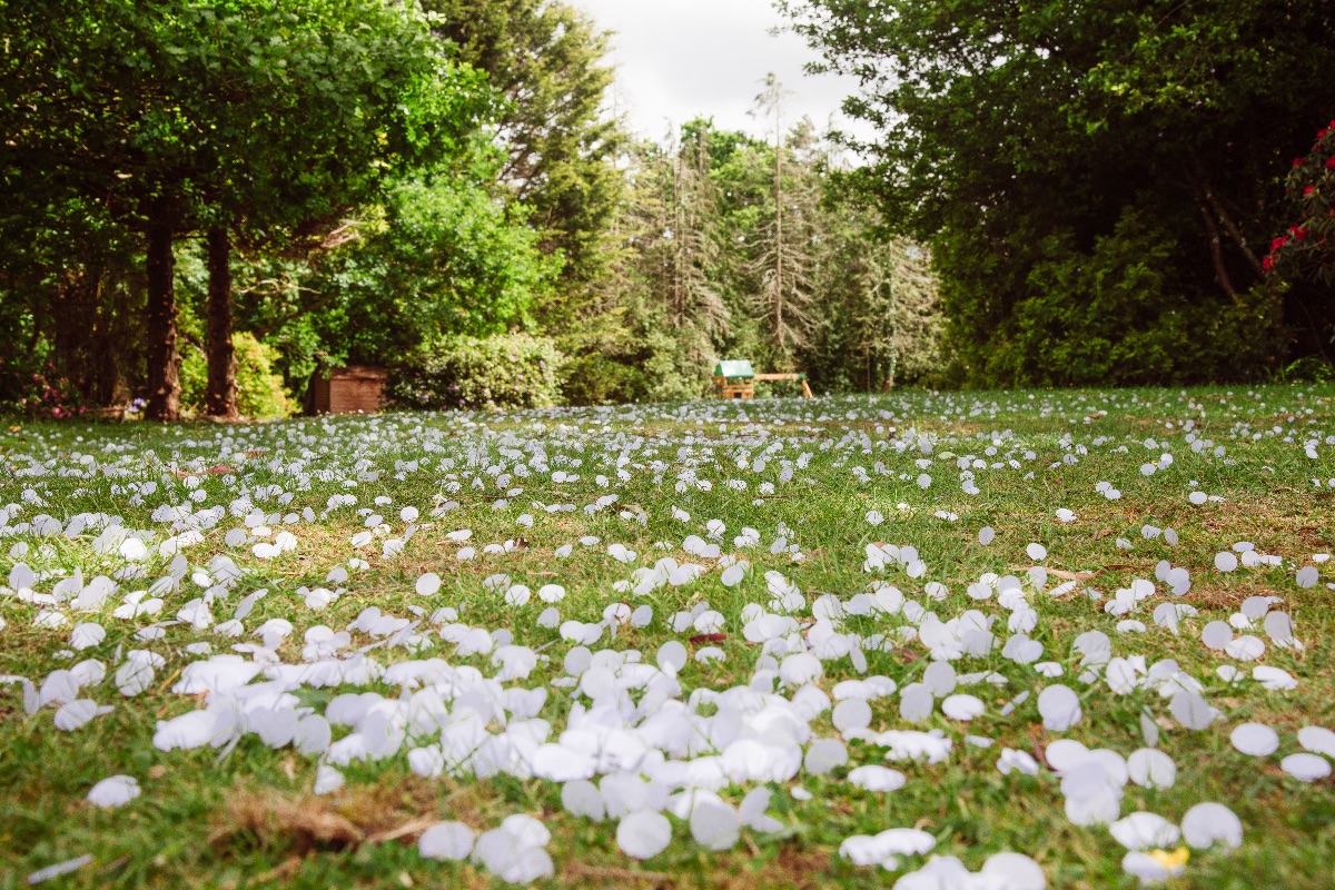 Gallery Item 12 for Woodlands Hotel