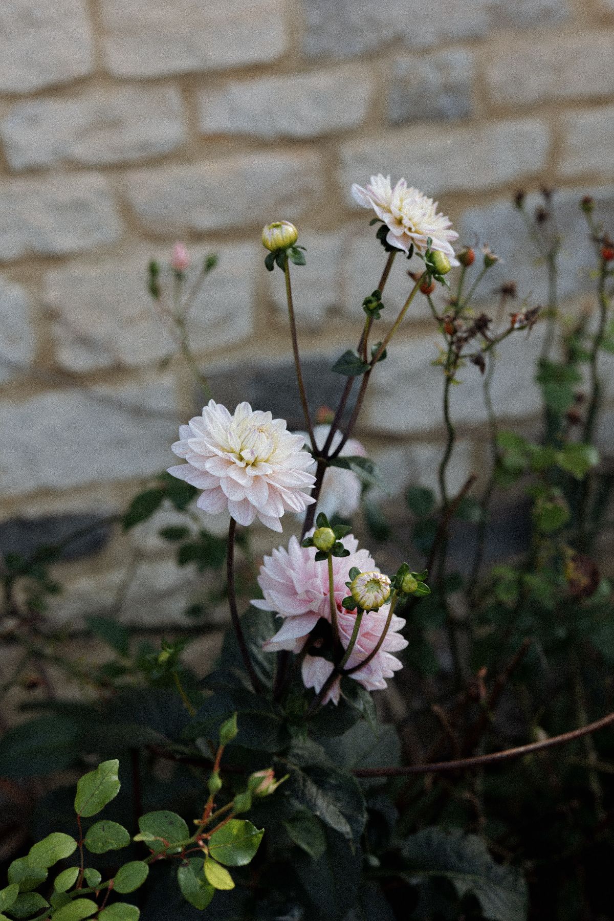 Hannah Warmisham Weddings-Image-93