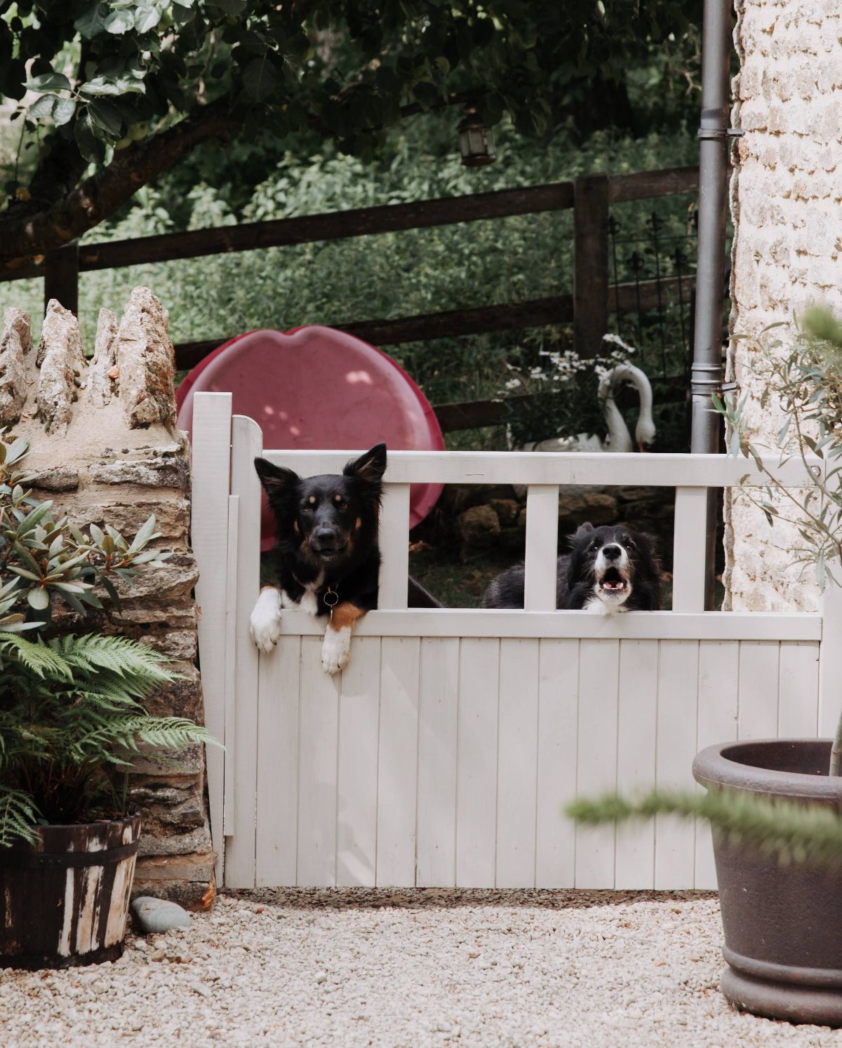 Hannah Warmisham Weddings-Image-167