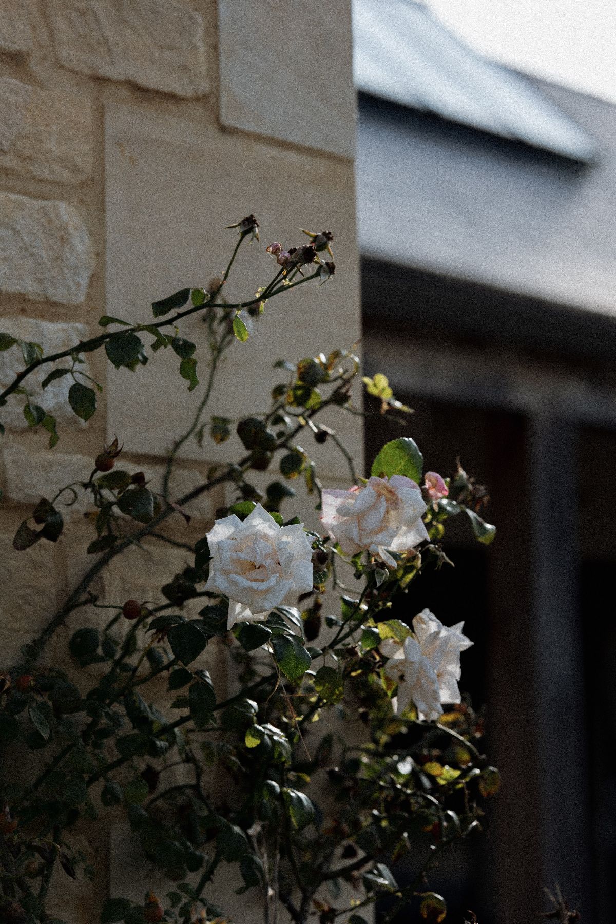 Hannah Warmisham Weddings-Image-217