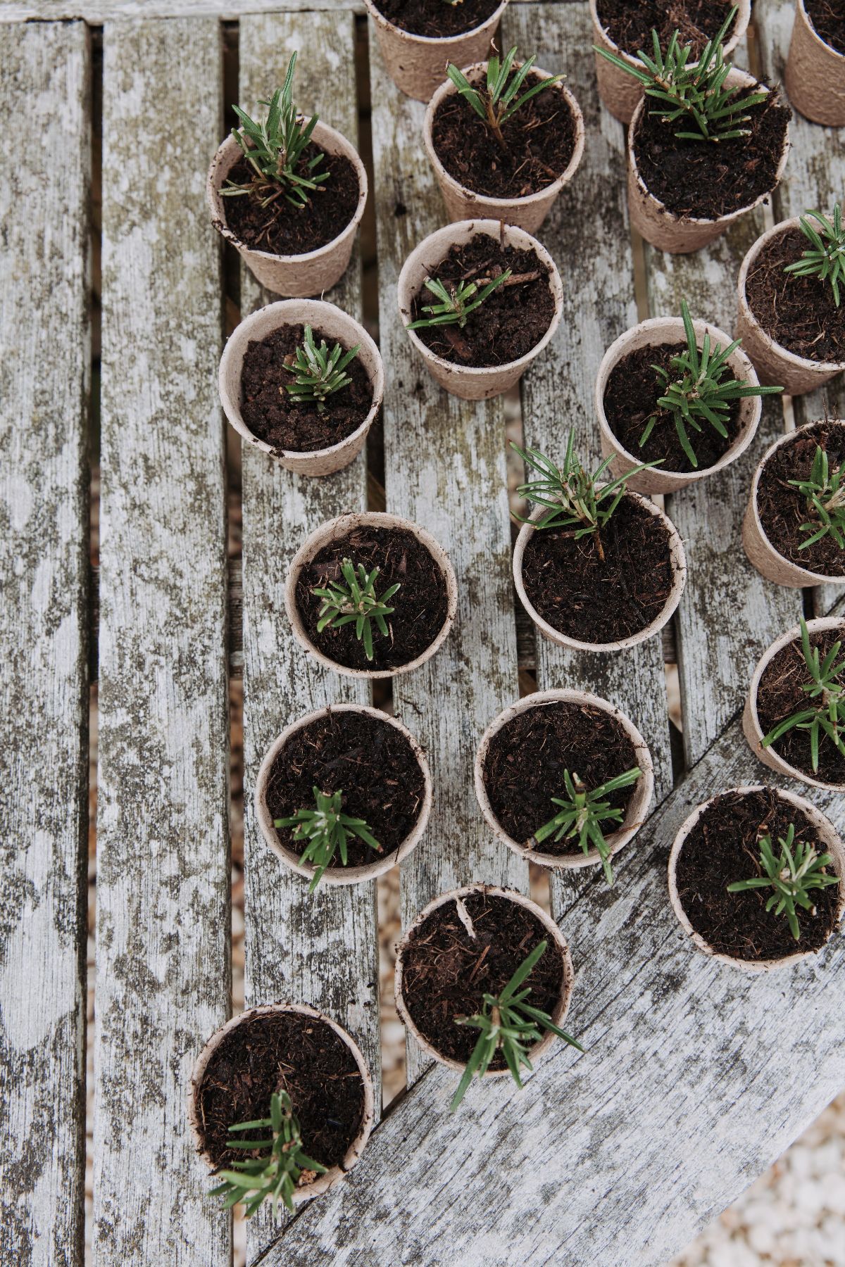 Hannah Warmisham Weddings-Image-291