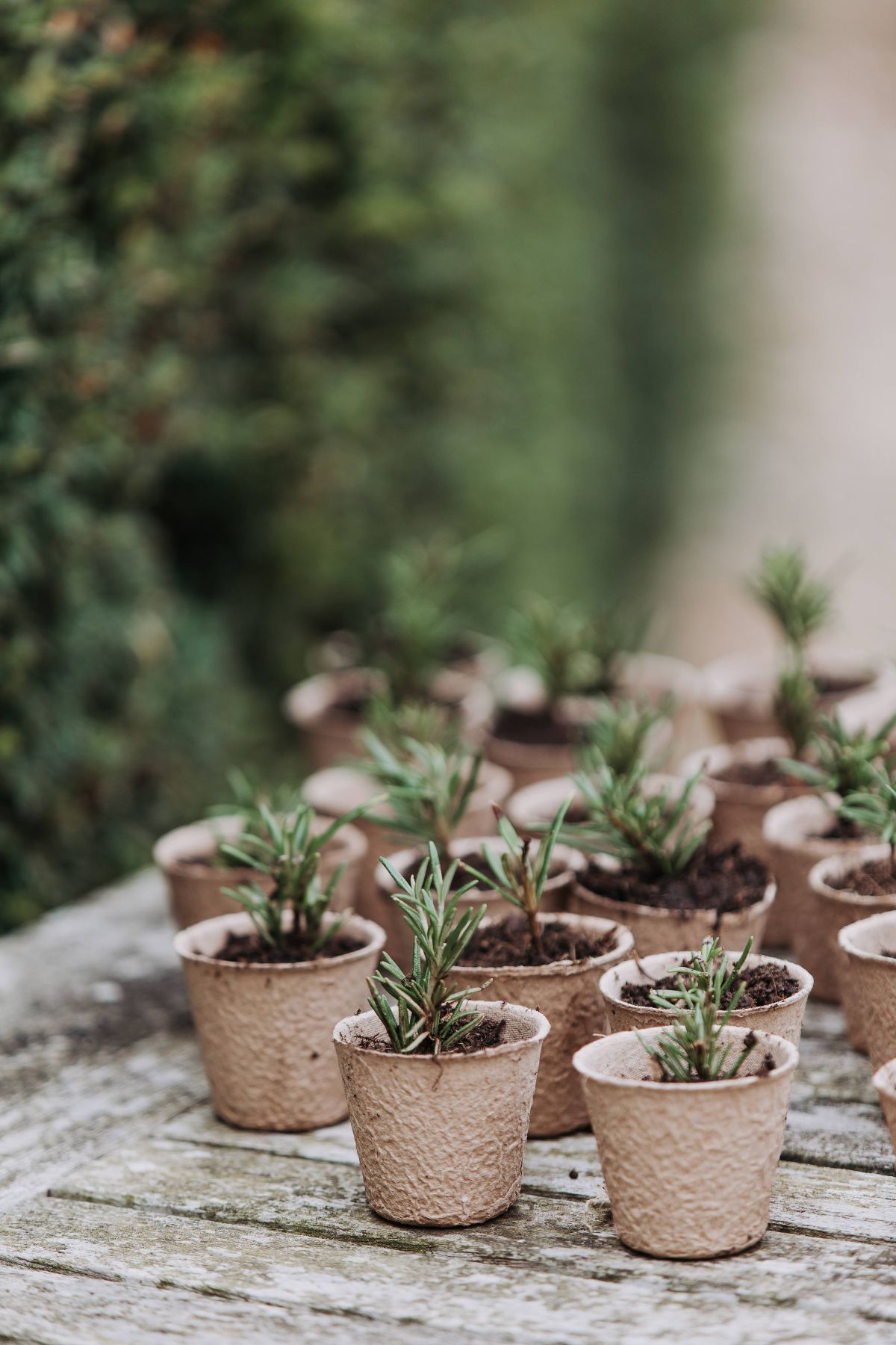 Hannah Warmisham Weddings-Image-57