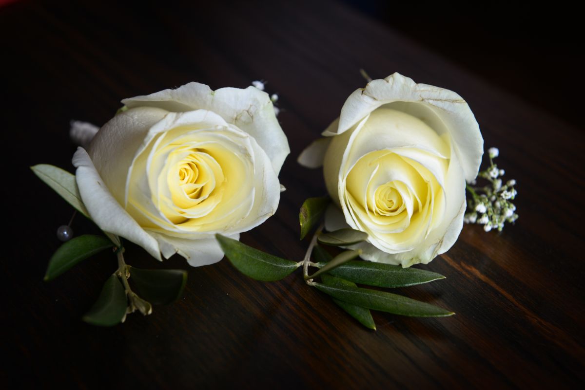 Andrew Florides Photography-Image-38