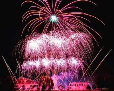 1st Galaxy Fireworks-Image-58