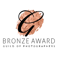 Second Bronze Award from Guild of Photographers