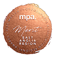 Master Photographers Association Merit Award 2020