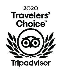 2020 Travelers Choice Award.