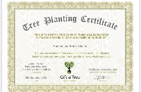 For each bridal gown sold we will plant trees, save our planet 