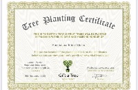 For each bridal gown sold we will plant trees, save our planet