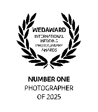 Number one Wedding Photographer for 2026 with Wed Awards