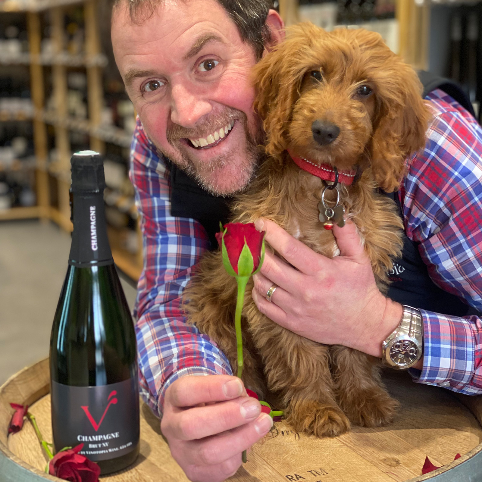 Image of Key Person Andy Cole