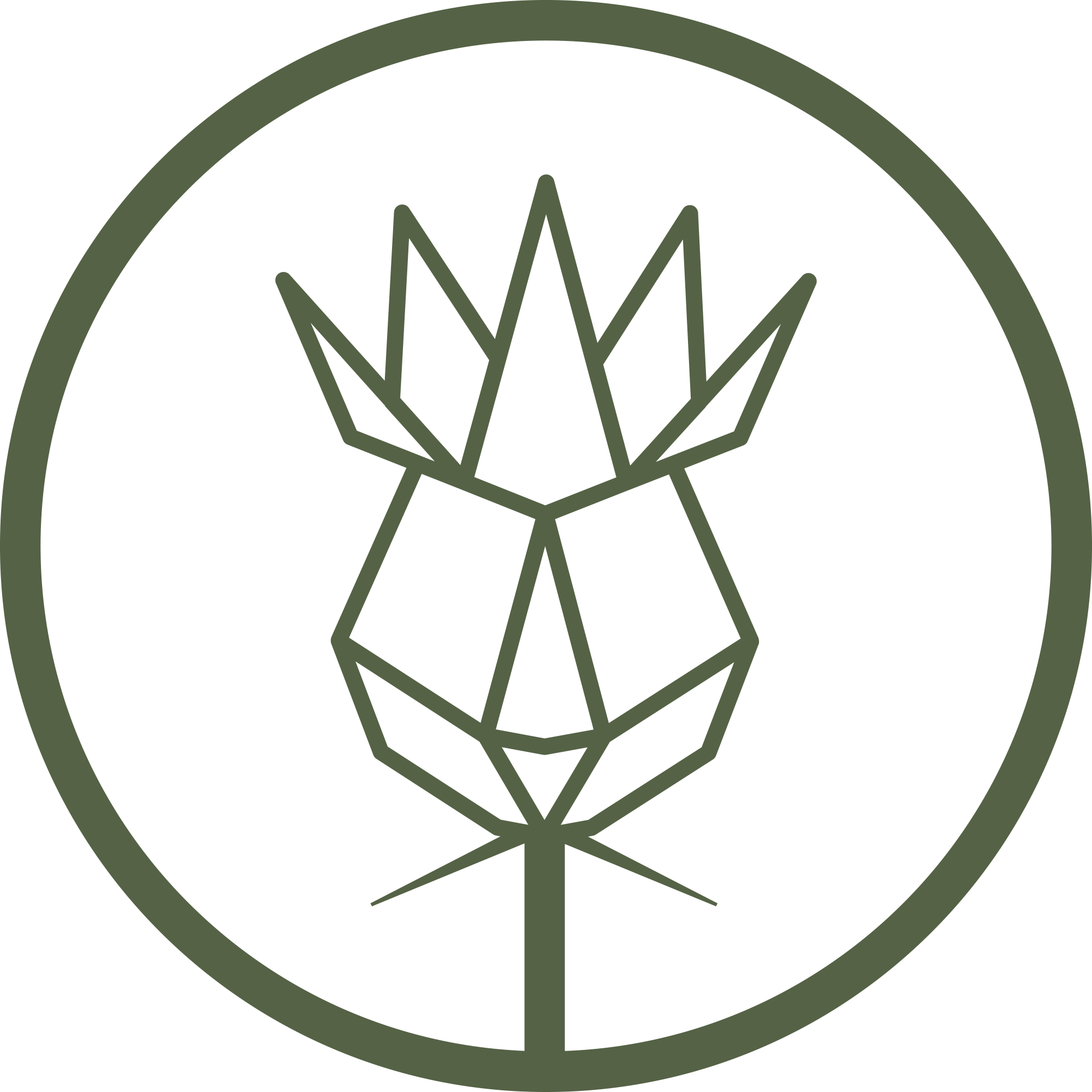 Image of Key Person Anna MacLean