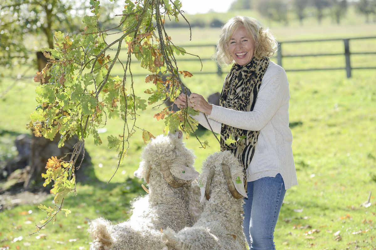 Image of Key Person Joanne Mcpartland