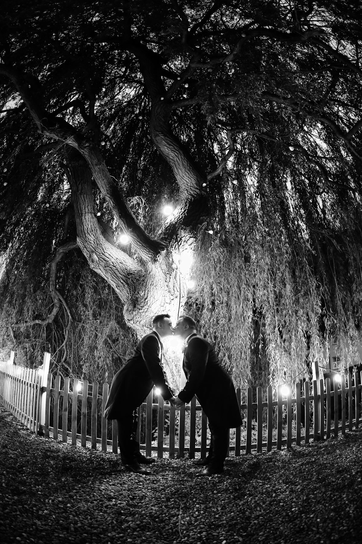 Smooching under the willow
