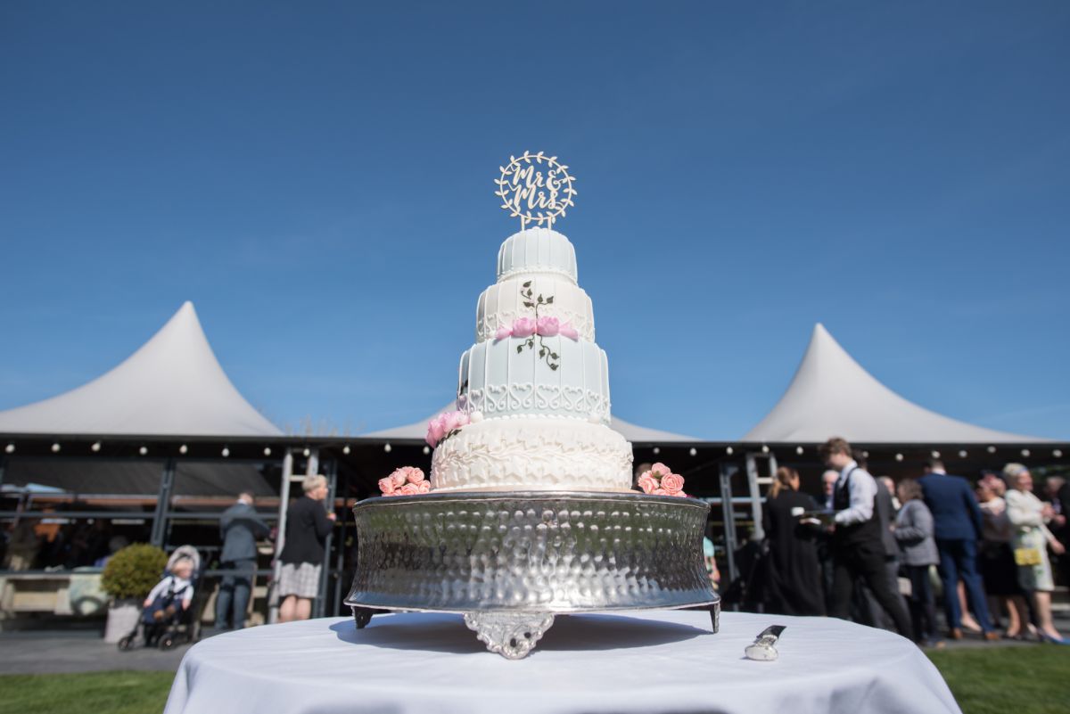 The M&S Birdcage cake at Southend Barns Chichester by Ali Gaudion