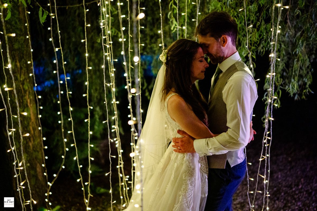 Willow tree fairy lights in the gardens 