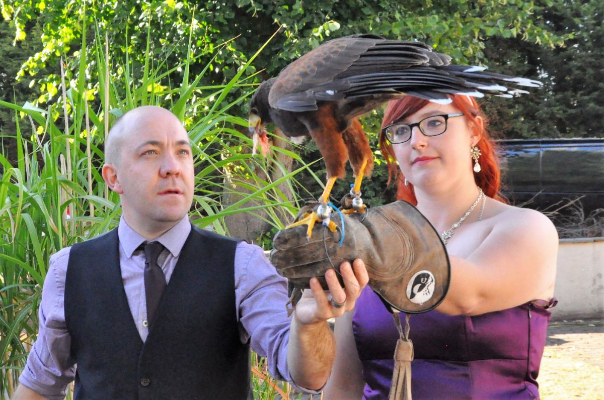 Bridesmaid flying Malcolm the harris hawk.. also from Wings & Things Crewe.