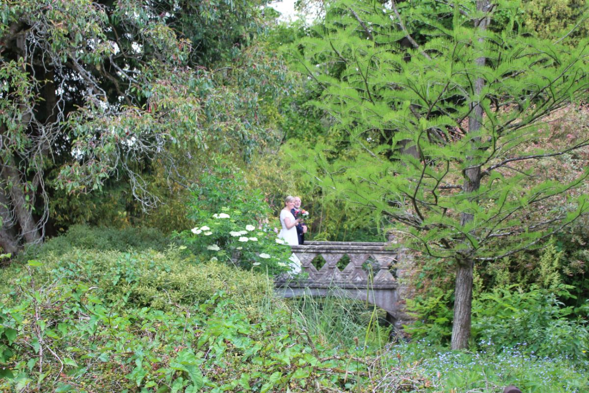 The newly married couple on the bridge