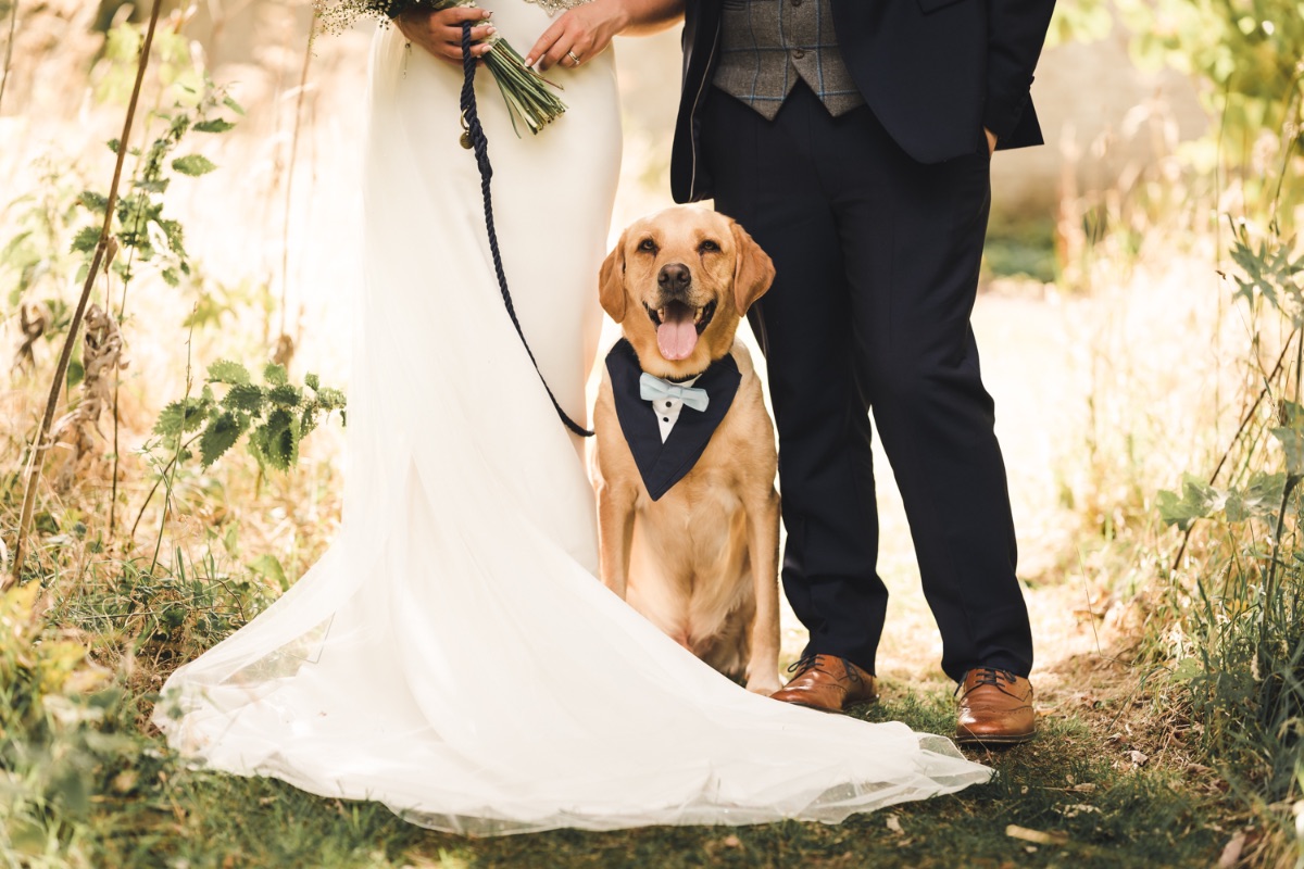 Scrivelsby Walled Garden wedding photos | Lincolnshire wedding photographer | Horncastle wedding photographer | Ben Chapman Photos