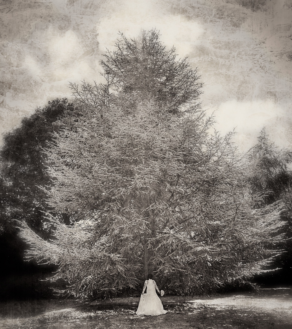 Real Wedding Image for Rebecca & Jason