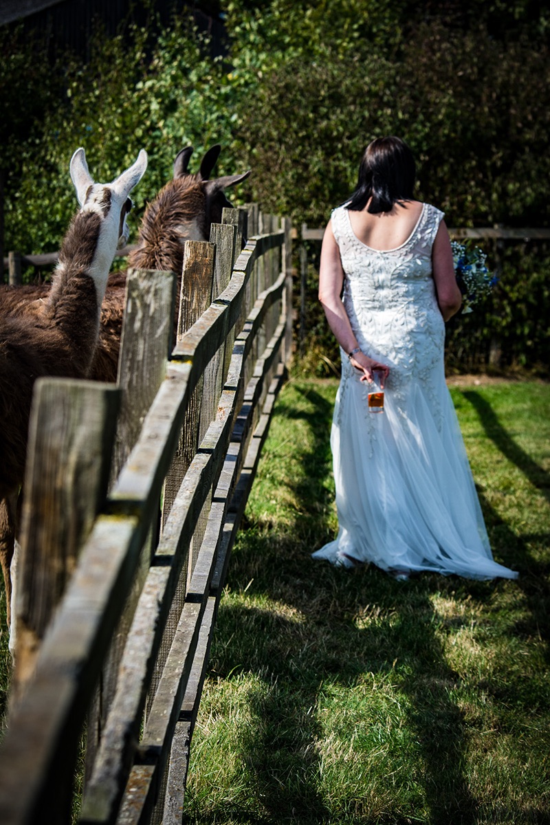 Real Wedding Image for Paul