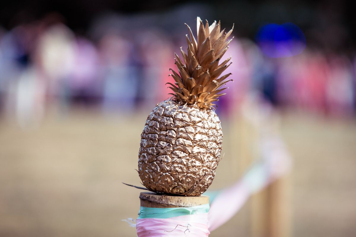 Real Wedding Image for Teddy