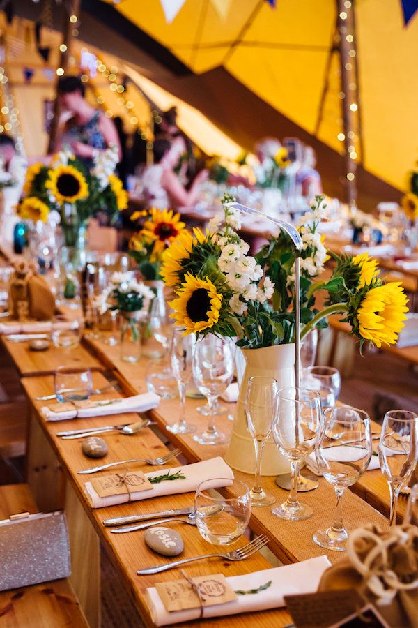 Sunflowers giving splashes of colour to Nicky & Chris