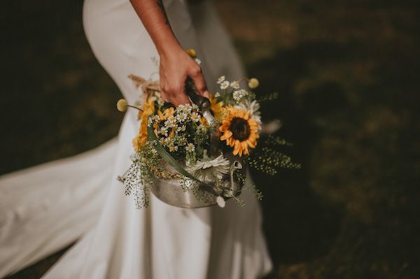 Splashes of colour created by gorgeous sunflowers