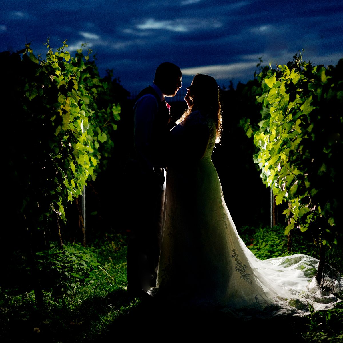 A sneaky kiss in the vineyard