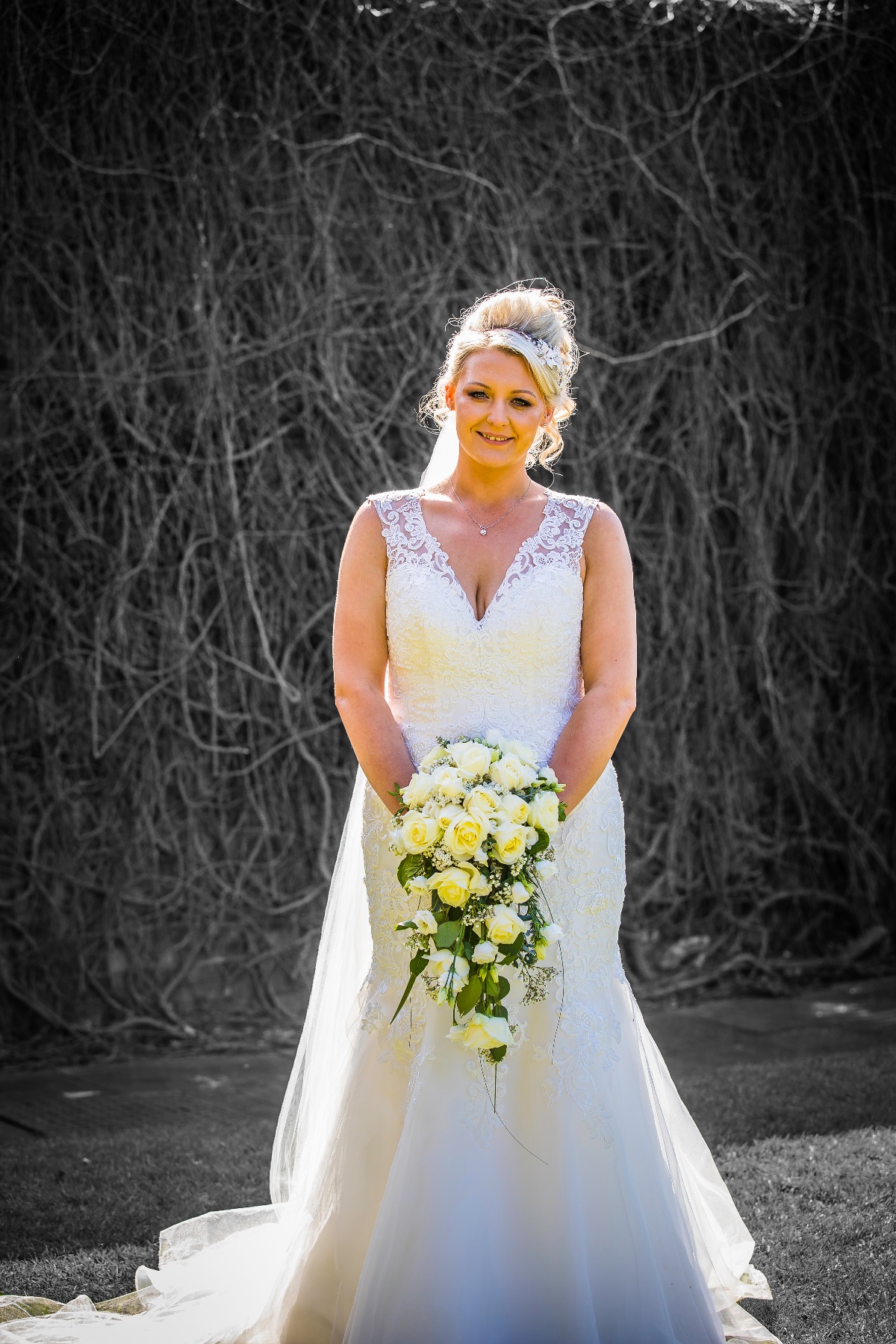 Back lit bride