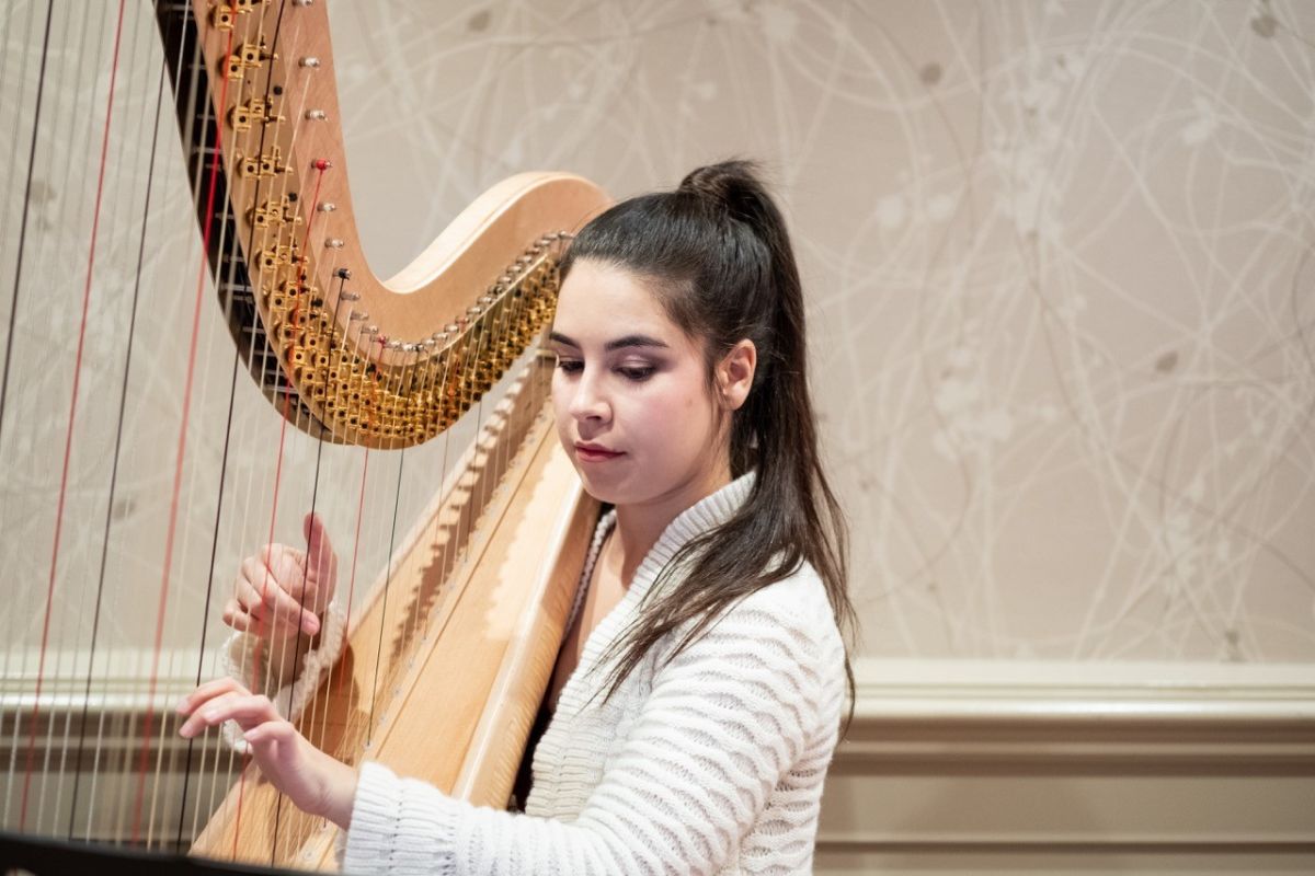 The harpist performing background music during Laura and Steve's drinks reception.