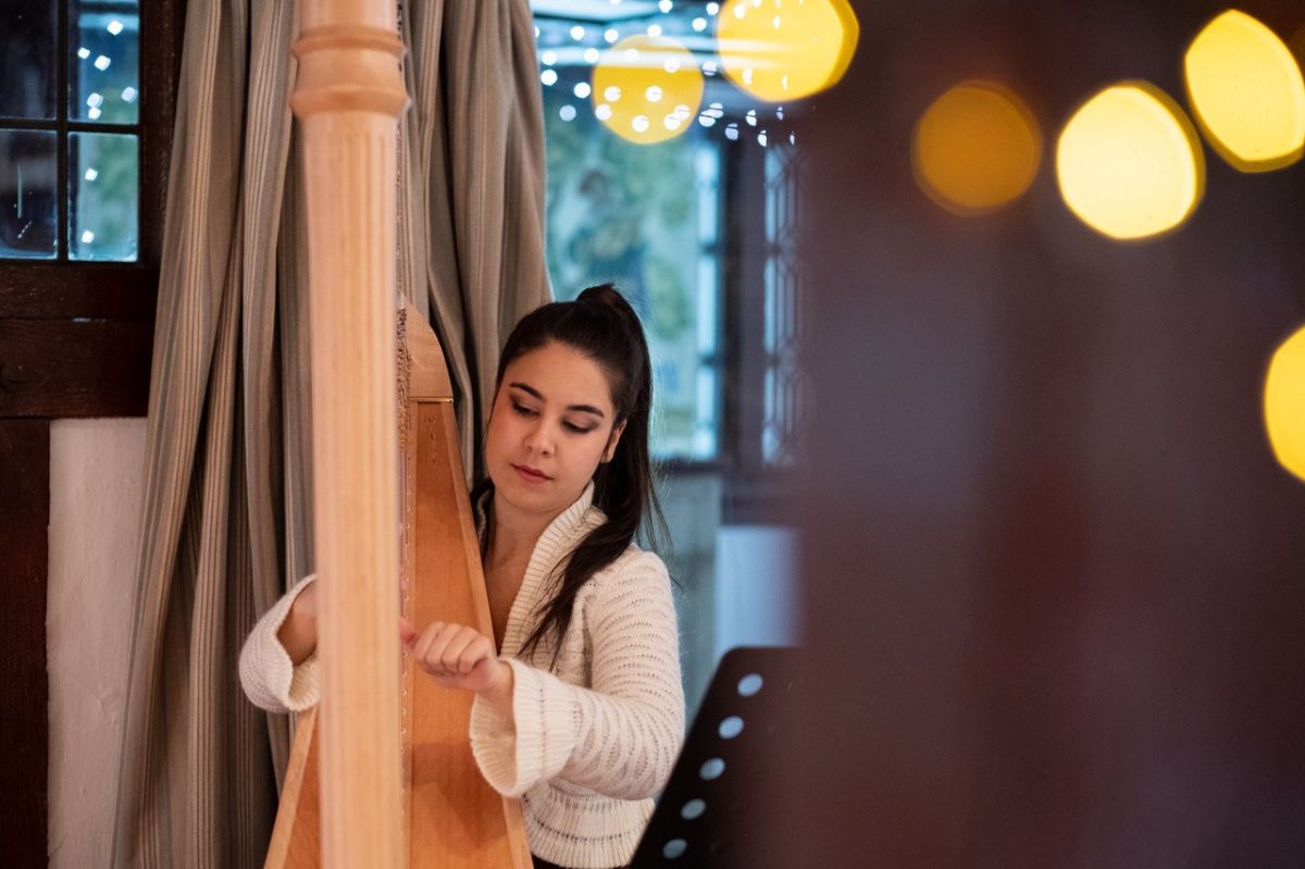 The harpist performing during Laura and Steve's wedding ceremony.