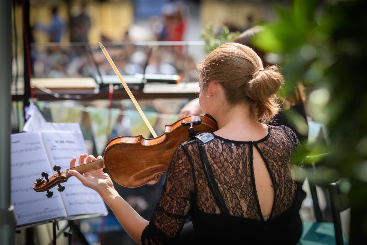 A close up of one of the members of the string quartet, performing during Sam and Samantha's wedding ceremony.