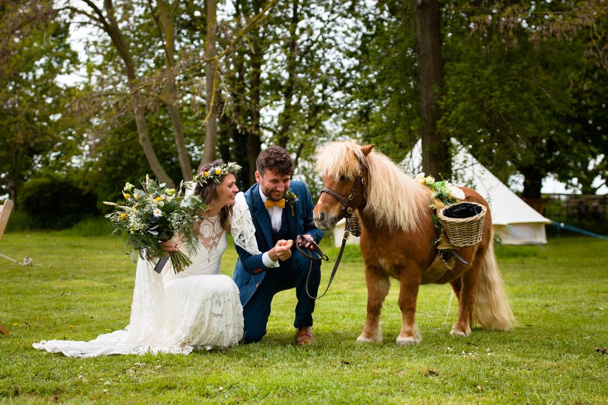 Jack Brock the confetti pony loves weddings