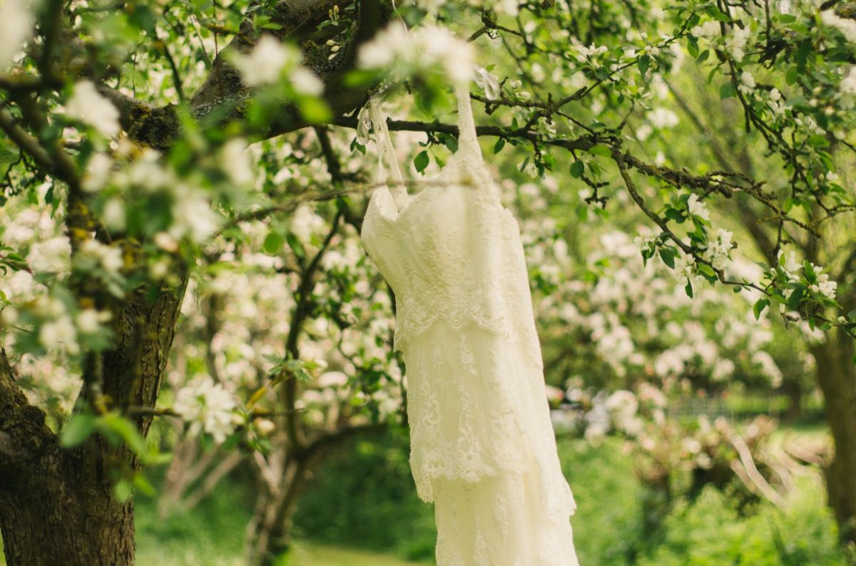 Hannah's dress hanging in the apple orchard
