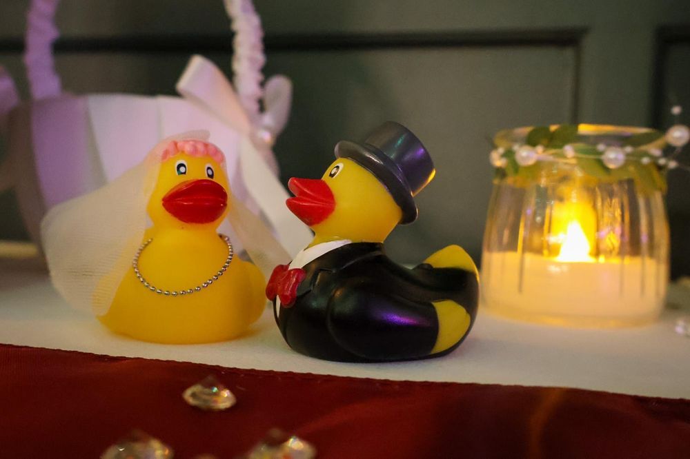 Real Wedding Image for Carolina