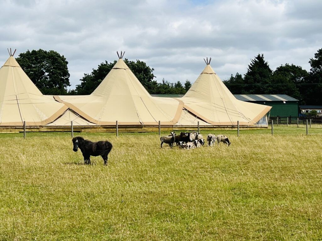 Newlands Bishop Farm